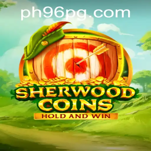 SherwoodCoins: An Innovative Role-Playing Game with a Competitive Edge